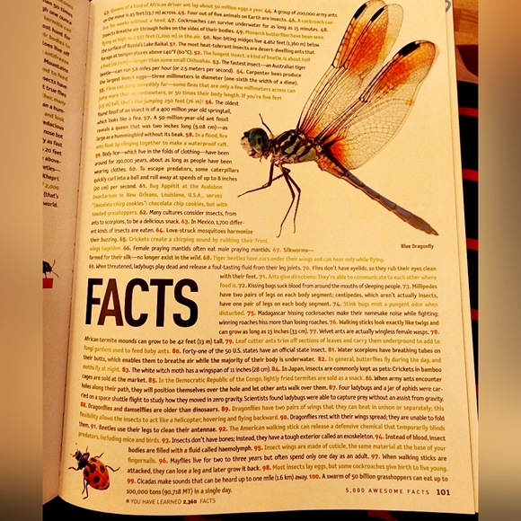 5000 Awesome Facts National Geographic Kids Hard Back - Picture 2 of 6